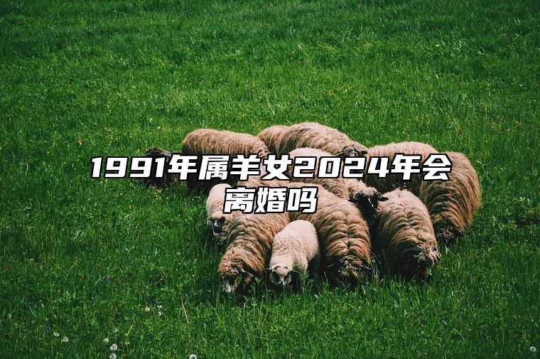 1991年属羊女2024年会离婚吗 1991年属羊人2024年运势及运程