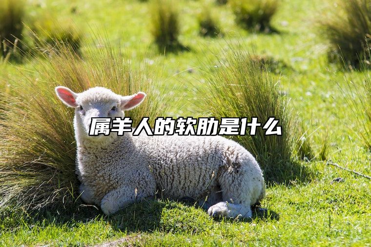 属羊人的软肋是什么 属羊的心软善良