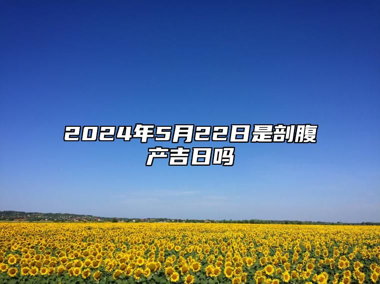 2024年5月22日是剖腹产吉日吗 老黄历查询