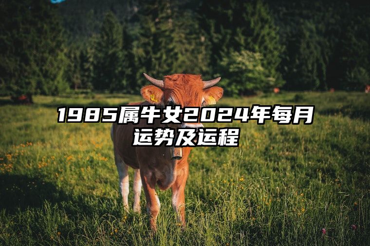 1985属牛女2024年每月运势及运程 97年牛女2024年运势如何