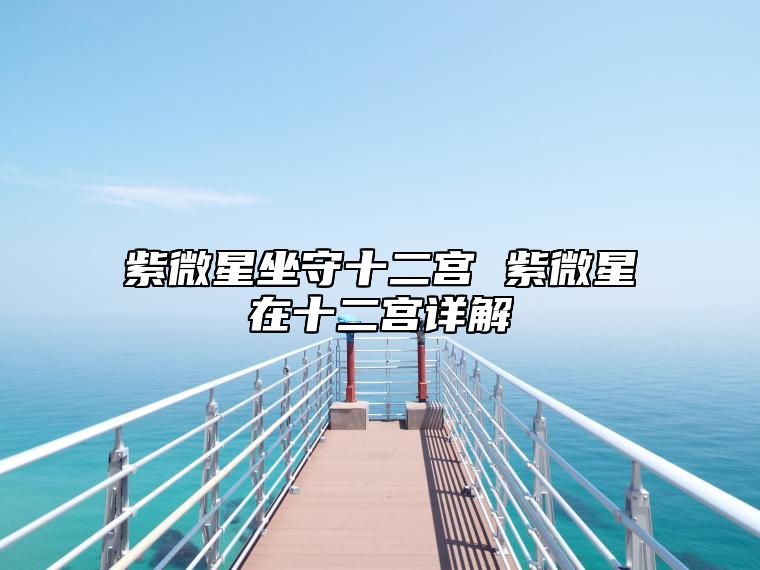 紫微星坐守十二宫 紫微星在十二宫详解