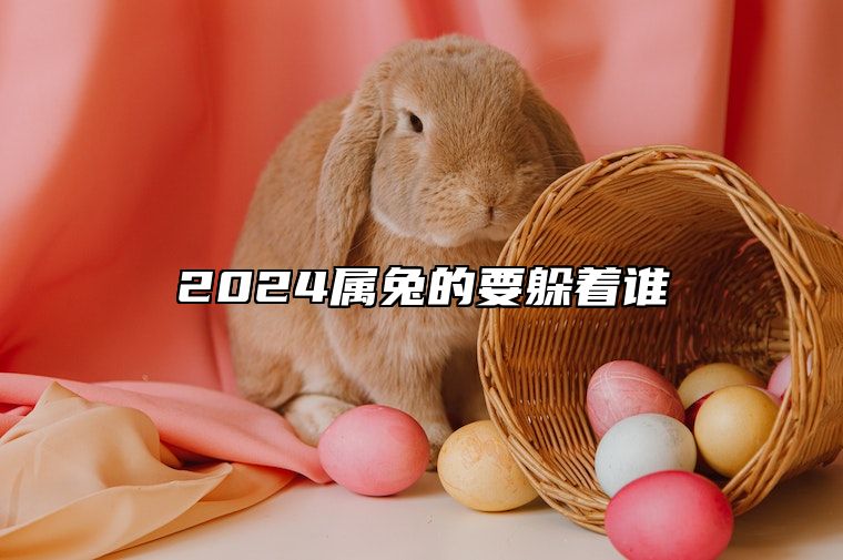 2024属兔的要躲着谁 属兔的2024年犯太岁吗