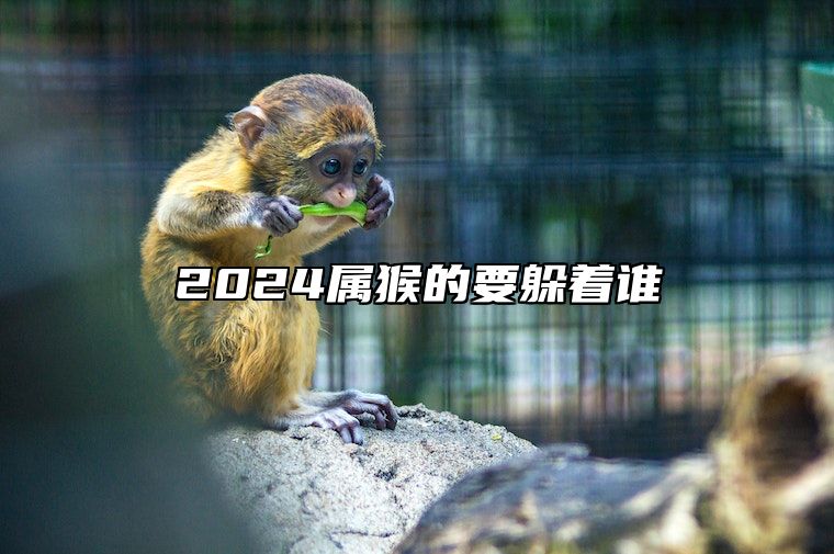 2024属猴的要躲着谁 属猴2024年必有一难