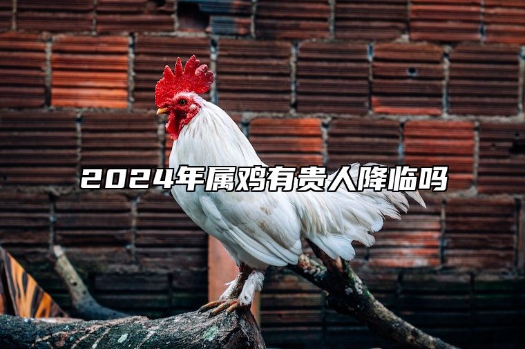2024年属鸡有贵人降临吗 1969属鸡最难熬的年龄
