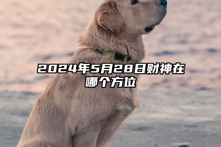 2024年5月28日财神在哪个方位 今日财神在何方