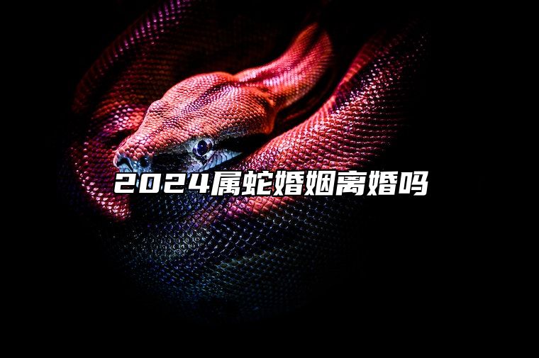 2024属蛇婚姻离婚吗 2024年感情破裂的生肖