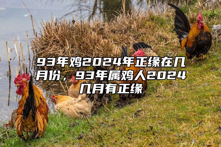 93年鸡2024年正缘在几月份，93年属鸡人2024几月有正缘 2024年93年属鸡的多少岁