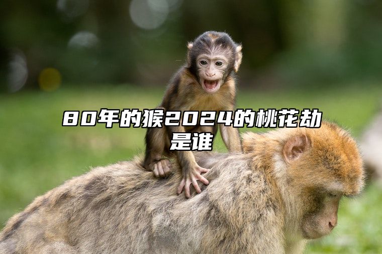80年的猴2024的桃花劫是谁 80年猴2024年运势