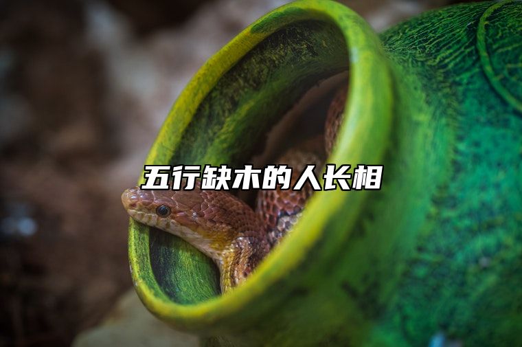 五行缺木的人长相 五行缺木的补救方式