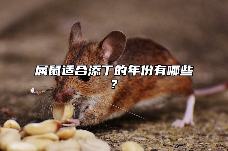 属鼠适合添丁的年份有哪些? 属鼠的宜生什么宝宝
