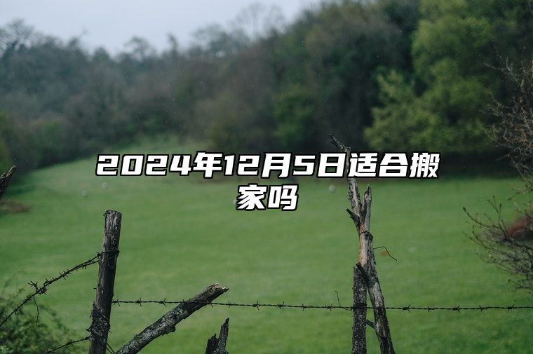 2024年12月5日适合搬家吗 今天日子好不好