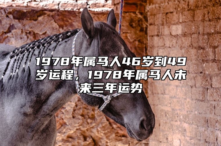 1978年属马人46岁到49岁运程，1978年属马人未来三年运势 1978属马人全年运势如何