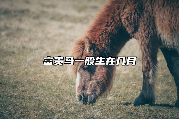 富贵马一般生在几月 富贵龙一般生在几月