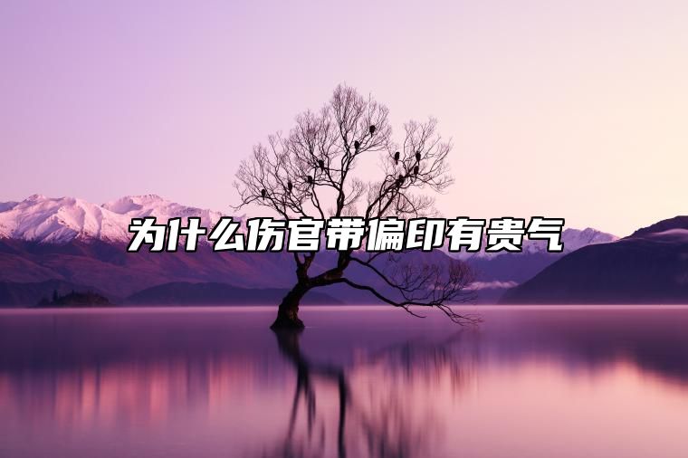 为什么会说伤官带偏印有贵气，伤官带偏印贵气特点分析