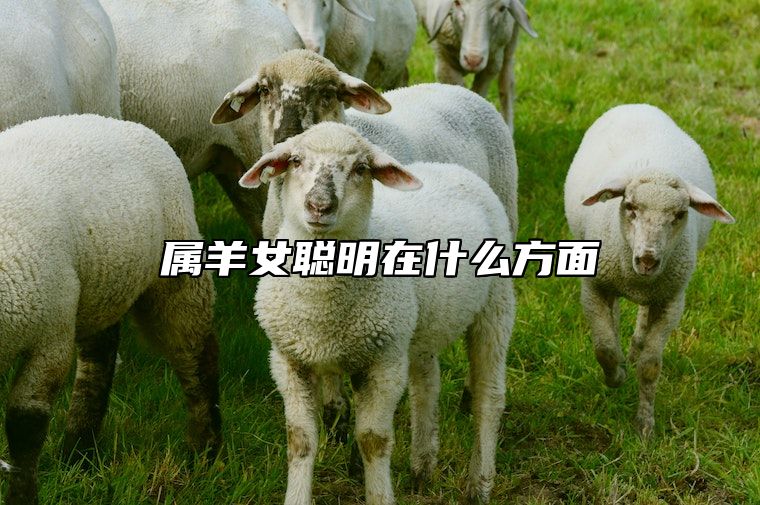 属羊女聪明在什么方面 属羊女很低调却很聪明
