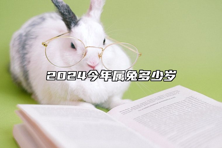 2024今年属兔多少岁 2024年属兔的多大了