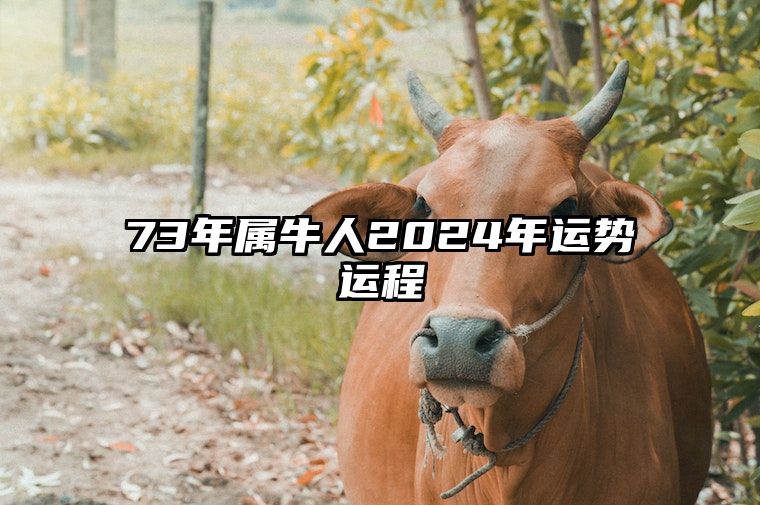 73年属牛人2024年运势运程 73年属牛51岁有一灾