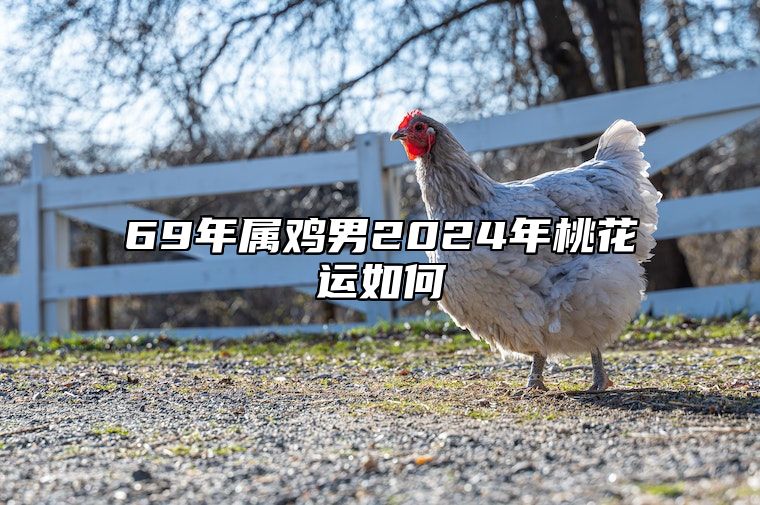 69年属鸡男2024年桃花运如何 69年属鸡男2023年感情运势