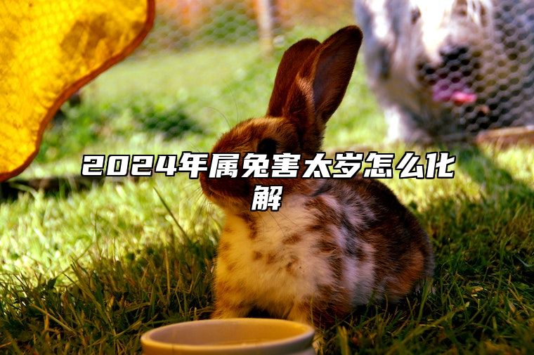 2024年属兔害太岁怎么化解 害太岁是什么意思属兔怎么化解