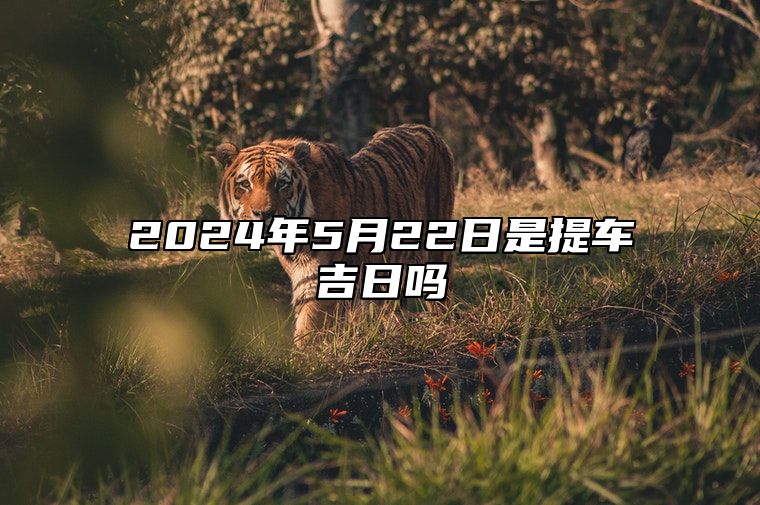 2024年5月22日是提车吉日吗 今日黄道吉日查询