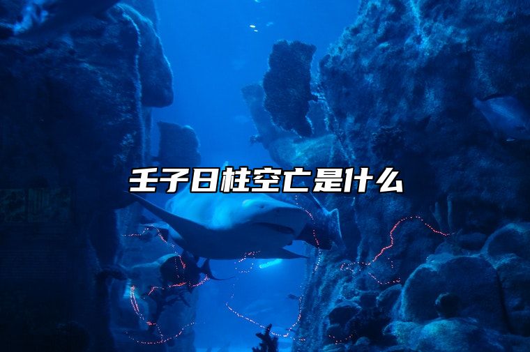 壬子日柱空亡是什么 会导致过于自信和乐观