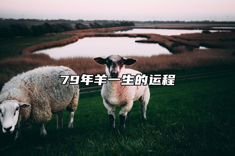 79年羊一生的运程 2024年属羊人两喜一灾