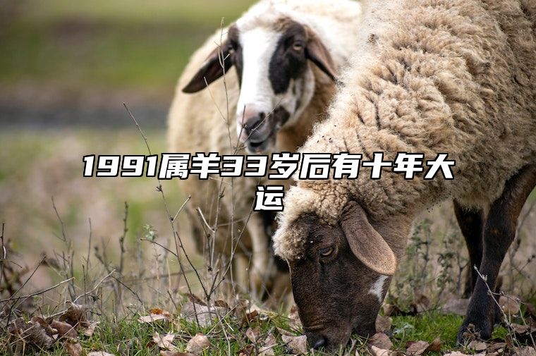 1991属羊33岁后有十年大运 1991年羊女2024年运势完整版