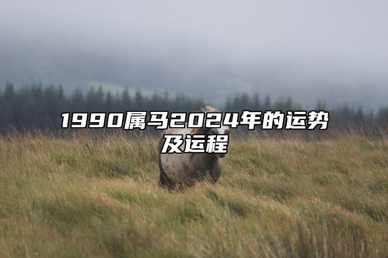 1990属马2024年的运势及运程 1990属马2024年的运势及运程二月男的马