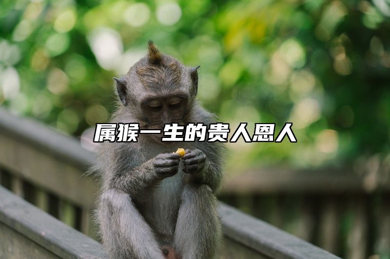属猴一生的贵人恩人 2024猴的最佳三个贵人