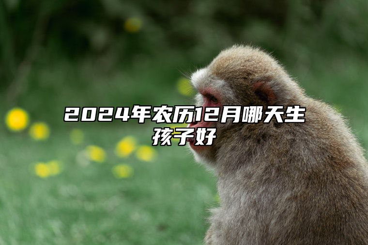 2024年农历12月哪天生孩子好 生孩子吉日查询