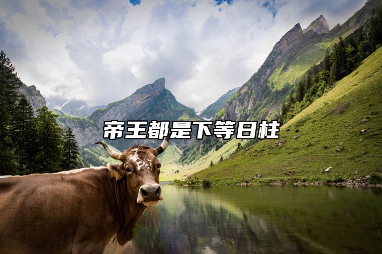 帝王都是下等日柱 上等日柱能看出大富或大贵的格局