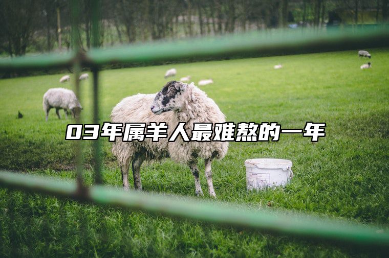 03年属羊人最难熬的一年 03年属羊人最难熬的一年是什么?