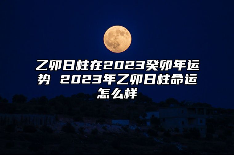 乙卯日柱在2023癸卯年运势 2023年乙卯日柱命运怎么样