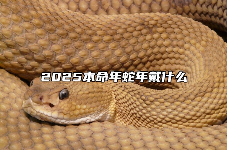 2025本命年蛇年戴什么 2025本命年蛇年戴什么手链比较好
