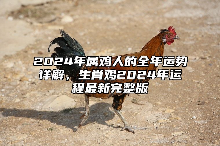 2024年属鸡人的全年运势详解，生肖鸡2024年运程最新完整版 生肖鸡2024年运势大全
