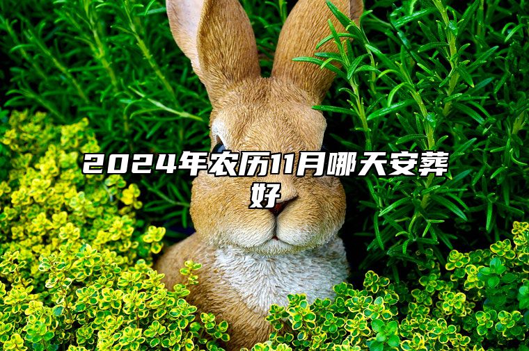 2024年农历11月哪天安葬好 适合安葬吗？