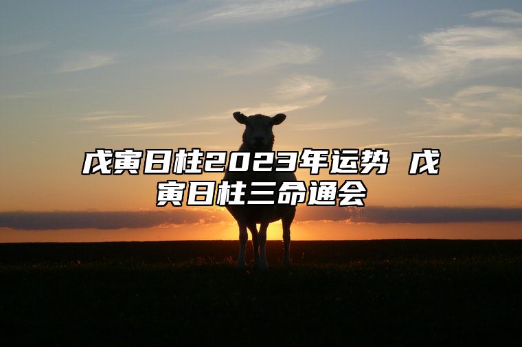 戊寅日柱2023年运势 戊寅日柱三命通会