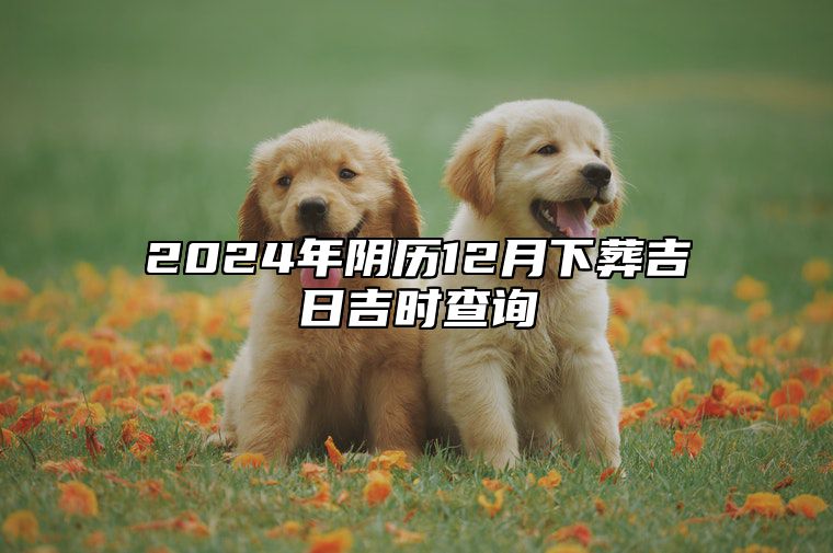 2024年阴历12月下葬吉日吉时查询 是不是下葬的黄道吉日