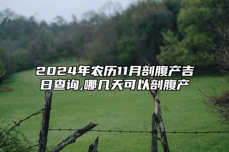 2024年农历11月剖腹产吉日查询,哪几天可以剖腹产 今日适合剖腹产吗