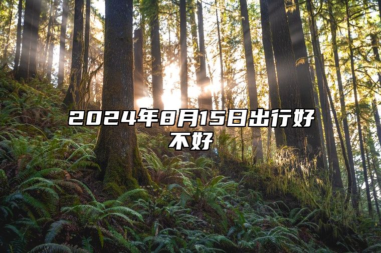 2024年8月15日出行好不好 是出门旅游的最佳时机吗