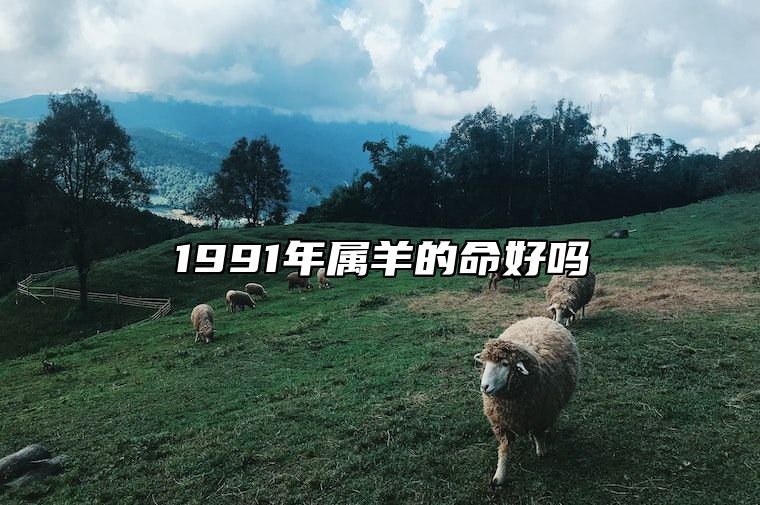 1991年属羊的命好吗 几月出生的羊最有福气