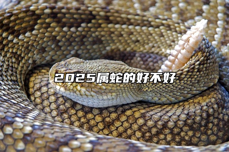 2025属蛇的好不好 