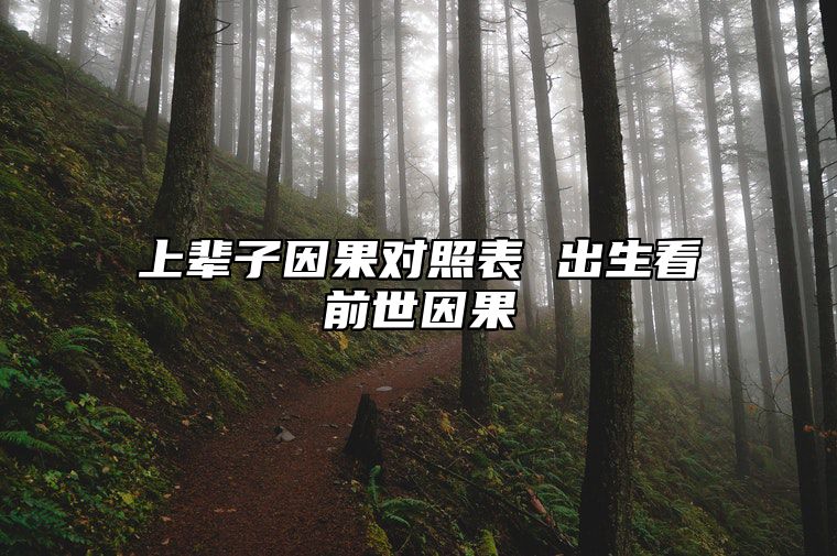 上辈子因果对照表 出生看前世因果