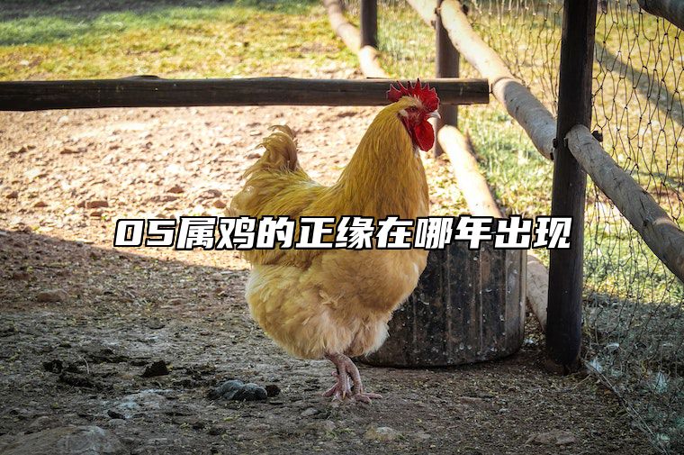 05属鸡的正缘在哪年出现 属鸡的正缘是什么时候
