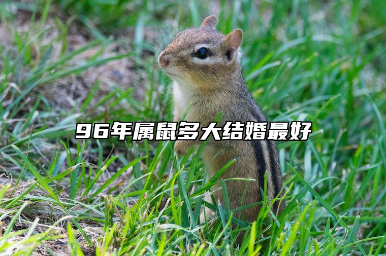 96年属鼠多大结婚最好 96年属鼠多大结婚最好呢女孩