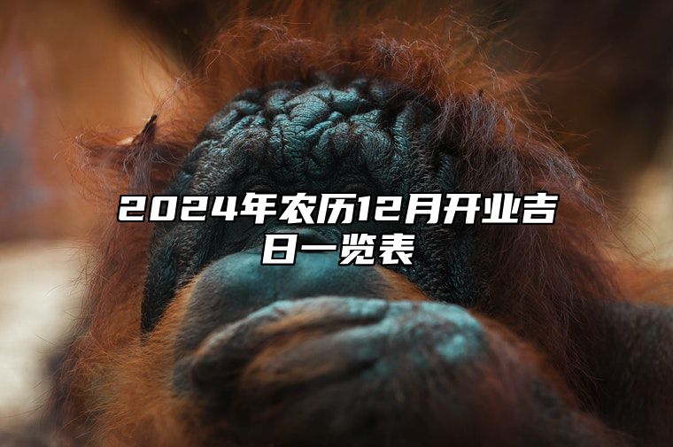 2024年农历12月开业吉日一览表 今日开业黄道吉日查询