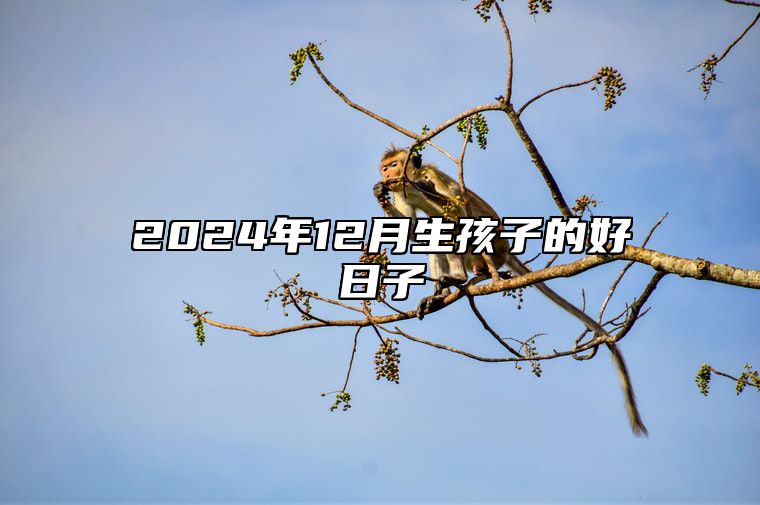 2024年12月生孩子的好日子 适合生孩子吗？