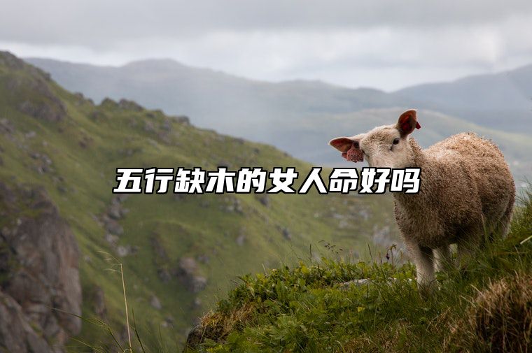 五行缺木的女人命好吗 五行缺木的女人性格