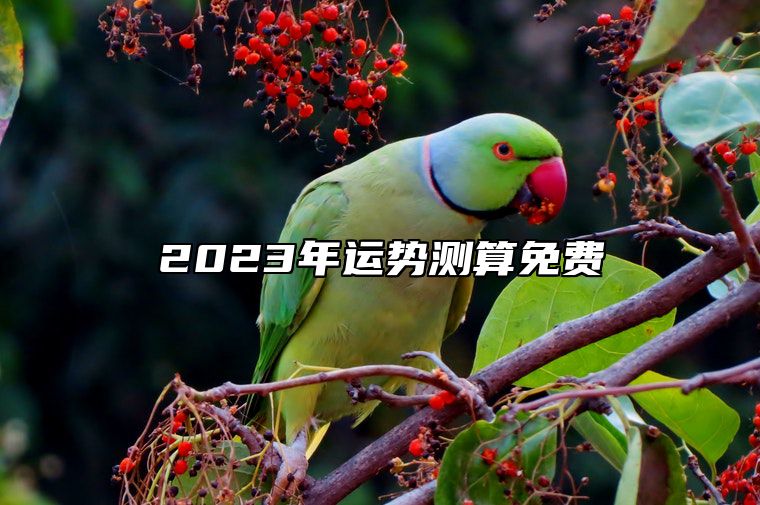 2023年运势测算免费 五行属水运程好
