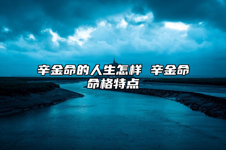 辛金命的人生怎样 辛金命命格特点